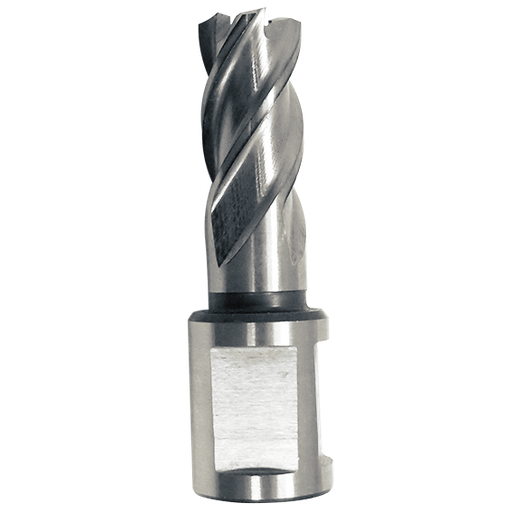 [490212] HSS-Co core drill ø 12 x 30 mm - Weldon 19