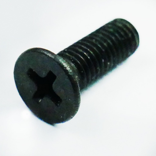 [MALSBM025] FLAT HEAD SCREW